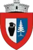Coat of arms of Marginea