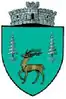 Coat of arms of Moldovița
