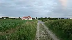 Street of Racławice Wielkie