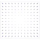 Dense vector field representation.