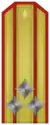 ПолковникPolkovnik(Bulgarian Land Forces)