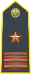 Sub-lieutenant (Ispettore - Luogotenente) (Chief Warrant Officer 5); commands Lieutenant Units (Stations).