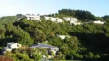 Photo of Raphael House Rudolf Steiner School in Tirohanga, Lower Hutt from the road that runs below.