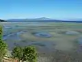 low tide