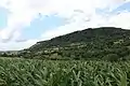 Ravnje - panorama