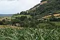Ravnje - panorama