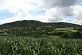 Ravnje - panorama