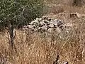 Razed structure in Kh. Dhikrin