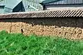 An old mud wall at Rearsby that is a habitat for solitary bees.