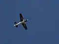 Šonka taking off from Jandakot airport for the final practice before the Perth Red Bull Air Race