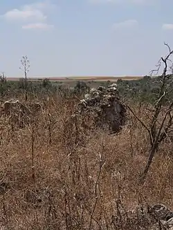 Façade of ruined house in Khirbet Dhikrin