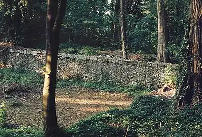 Remnants of the mid-slope reservoir of the original Marly Machine