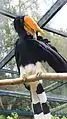 Female at Birdworld, England