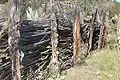 *Willow branch corral