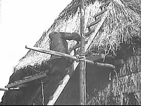 The putlog is the horizontal piece on which the platform rests, the upright pole is called a standard. In some masonry buildings the holes into which the putlogs are inserted remain unfilled and are called putlog holes.