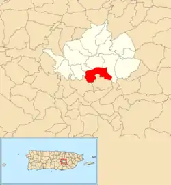 Location of Rincón within the municipality of Cidra shown in red