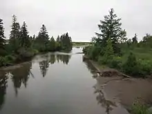 A channel with forest on the banks.