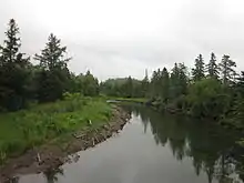 A channel with its wooded banks.