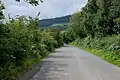 Road to Nant Glas