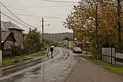 Road through Rona de Sus