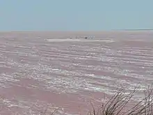 The Syvash in reddish colors due to micro-algae of species Dunaliella salina