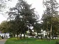 Rosalie Morton Park