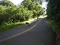 Skateboarders descending Round Top Drive