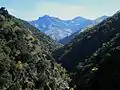 Alcazaba and Mulhacen