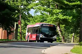 Route All Campuses - 4181