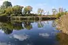 Rye Meads