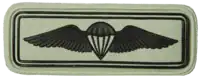Parachute Wings (South Africa) (Advanced, Freefall)