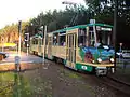 at SRS Tramways