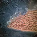 Dune fields in Algeria.