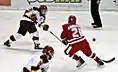 Saara Tuominen in a game against the University of Wisconsin Badgers at the DECC arena in Duluth, MN on Sunday, 17 January 2010.