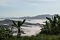 The mountain range shrouded by natural fog.