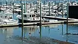 Boats moored in the harbor, 2018