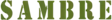 Computer simulation of Battle Honour