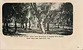 San Jacinto Battle Ground (postcard, circa 1898)