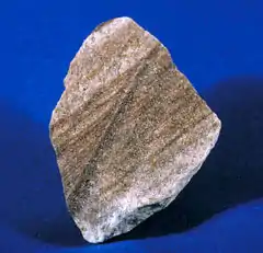 A rough chunk of sandstone with the face showing layering in shades of brown, black and white.