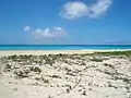 Sandy Point beach