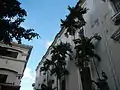 Right side of the Cathedral