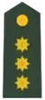 Coronel