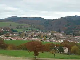 A general view of Sauxillanges