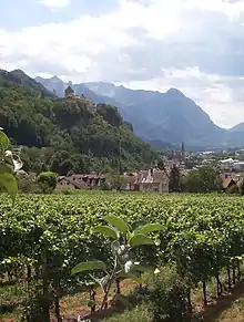 Vaduz Castle and the vineyards of the princely winery