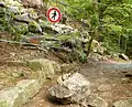 The Schurre near the Bode, closed due to a rockslide in 2010