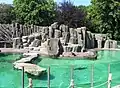 Fur seal's exposition