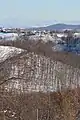 Oglađenovac - panorama