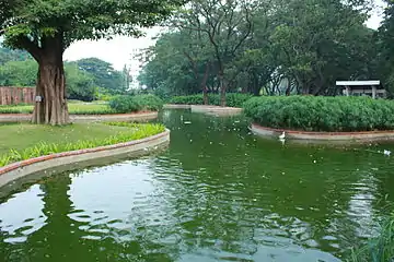 the pond