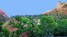 Lobe with trees on top below cliff