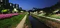Looking upstream along the from Daewol Bridge, 2023